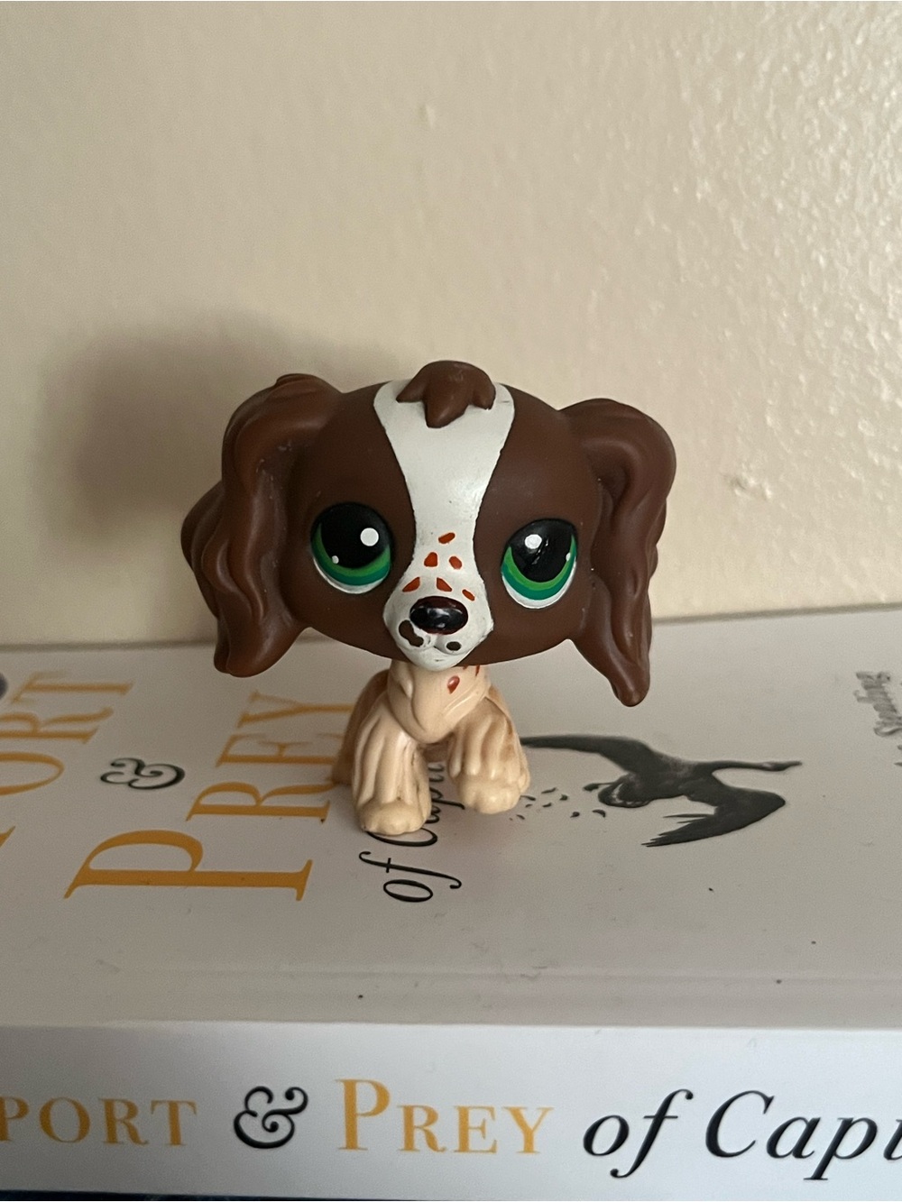 LPS spaniel 156